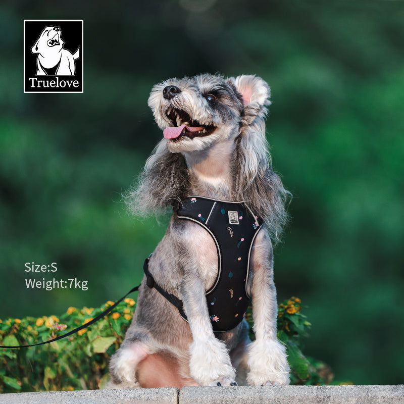 Truelove Urban Bloom No-Pull Harness Set