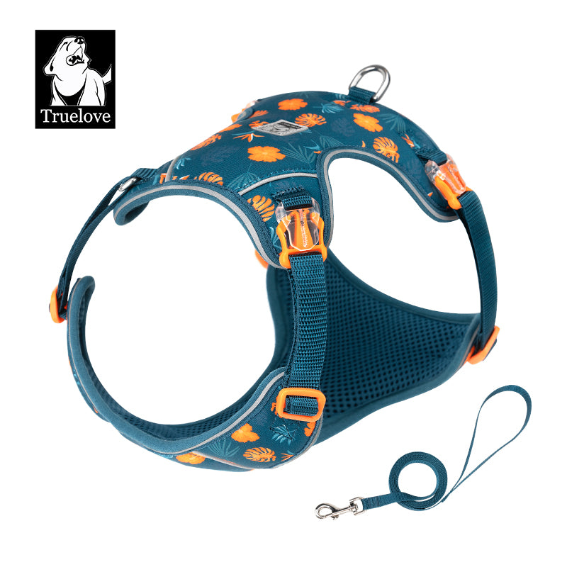 Truelove Urban Bloom No-Pull Harness Set