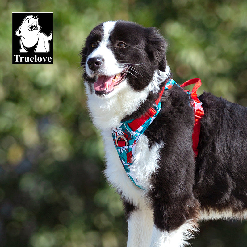 Truelove TrailSafe Pro Harness – Reflective Adventure Series