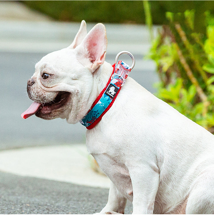 Truelove Comfort Collar