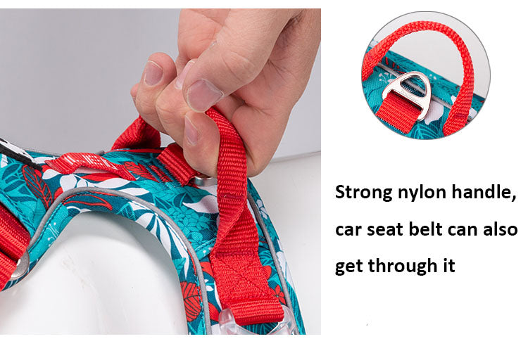 Truelove TrailSafe Pro Harness – Reflective Adventure Series